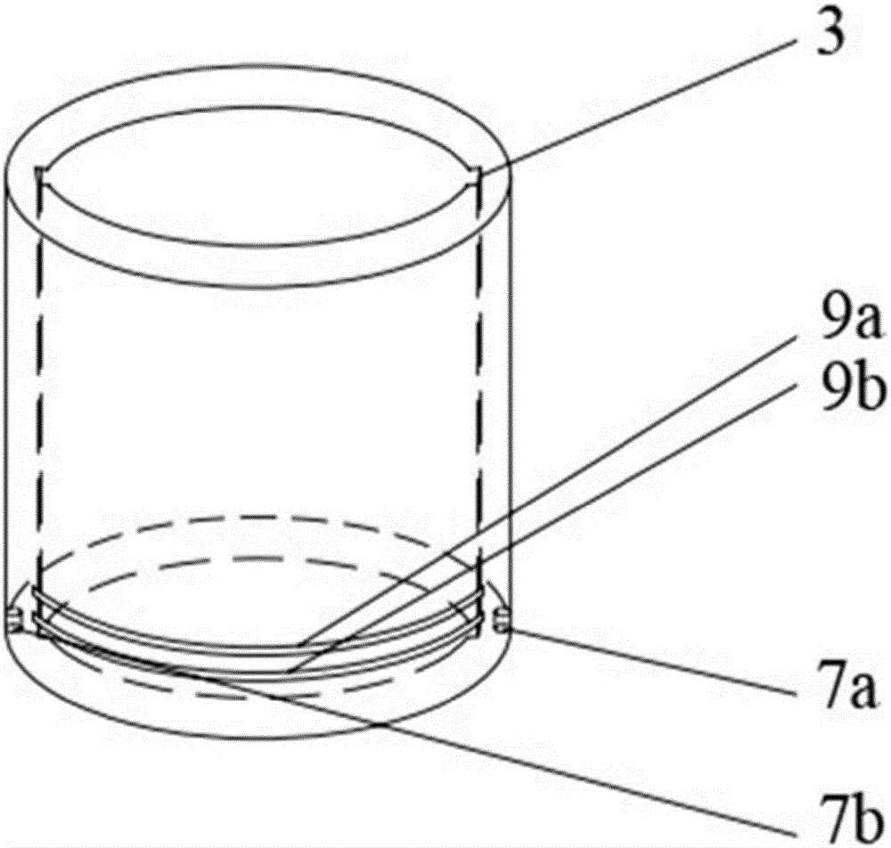 Springtail avoidance test device and application thereof