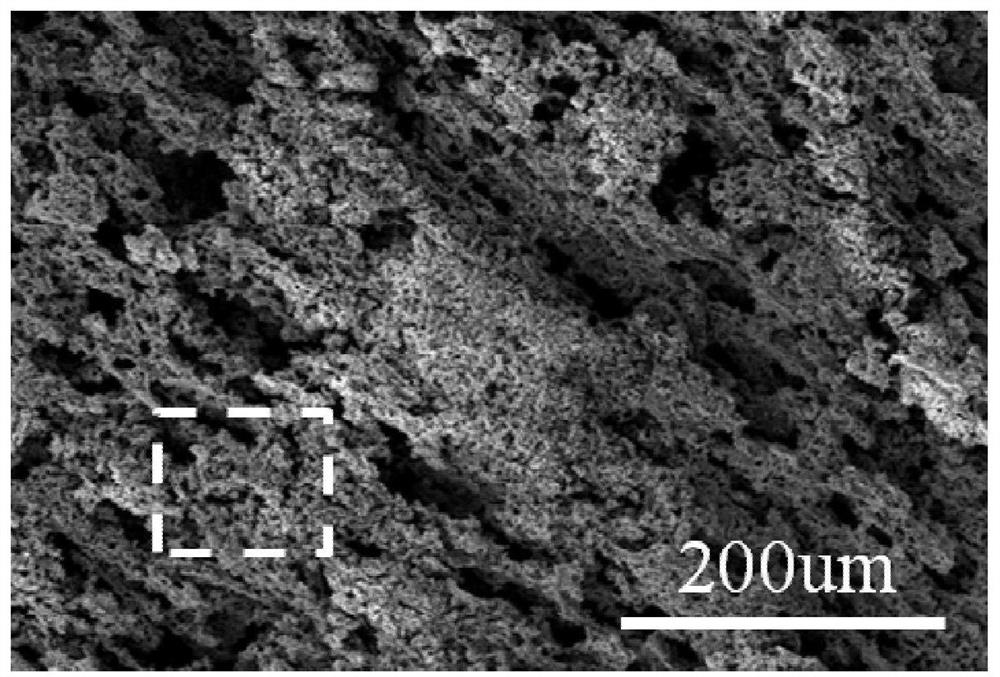 Three-dimensional micro-nano composite porous iron tin-iron tin nitrogen compound integrated lithium ion battery negative electrode and one-step preparation method thereof