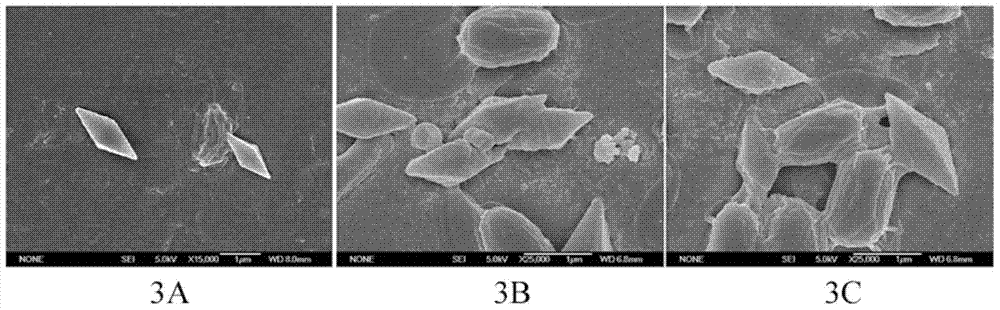 A kind of microcapsule and preparation method thereof