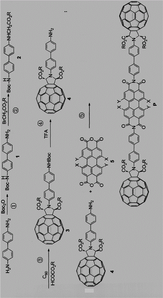 Fullerene-perylene functional molecule and preparation method thereof