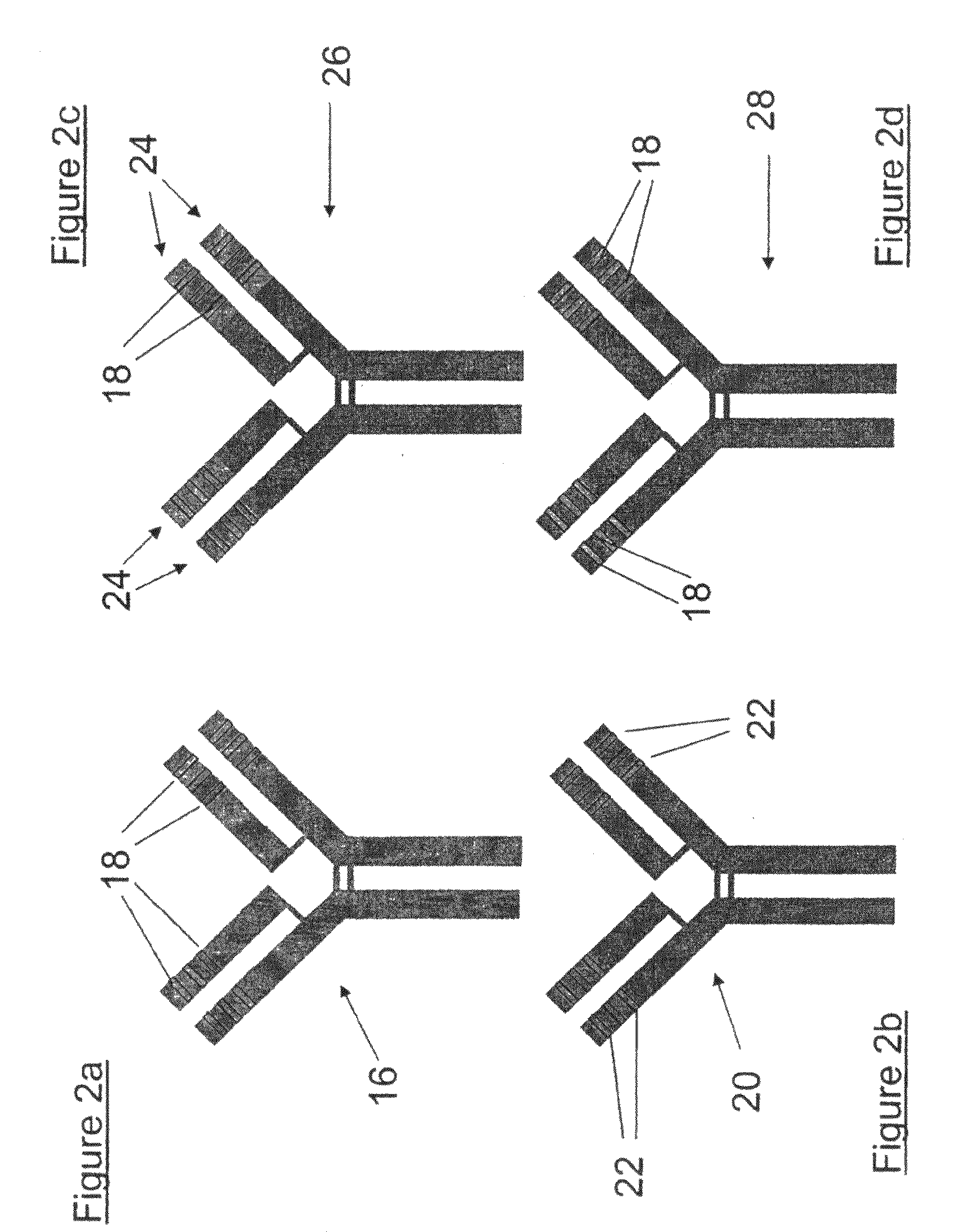 Humanized anti-Venezuelan equine encephalitis virus recombinant antibodies