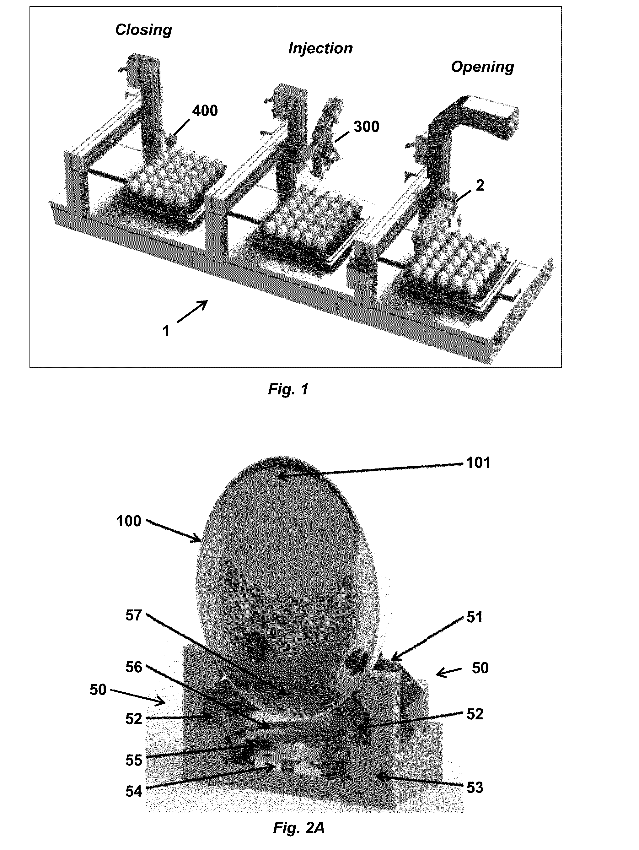 Selective Embryonic Structure Targeting and Substance Delivery Device