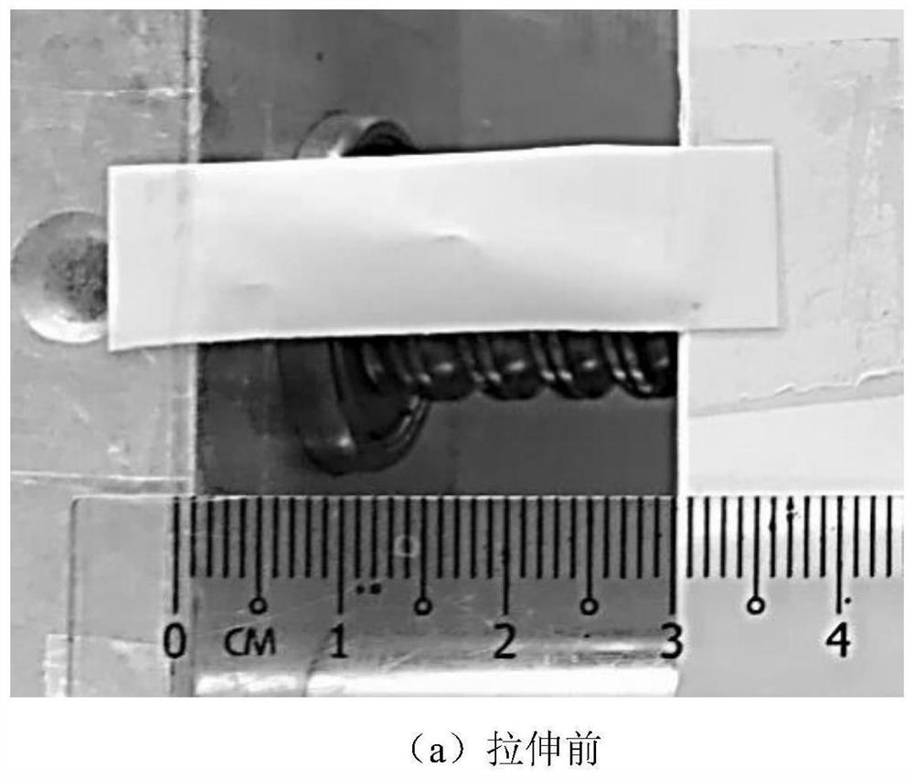 Breathable and stretchable nanofiber composite thin film material for friction nano generator and preparation method of breathable and stretchable nanofiber composite thin film material