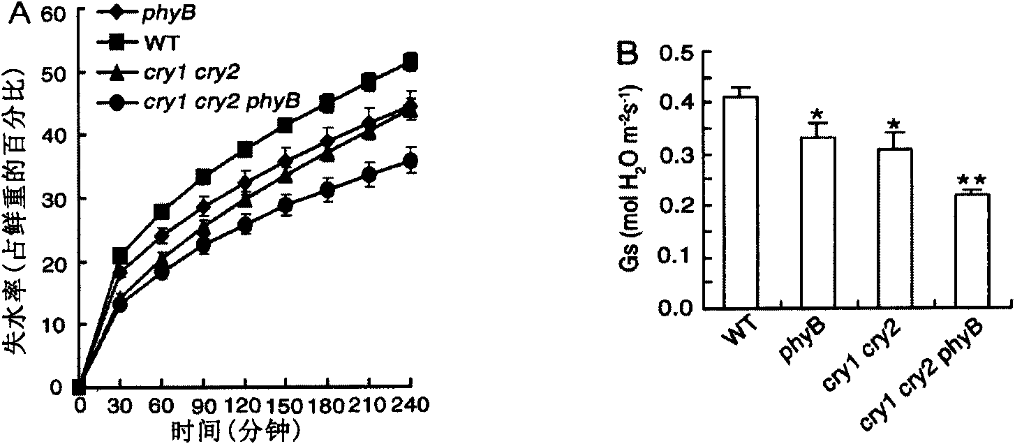 Method of changing stomatal aperture and density of plant