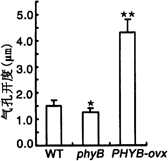 Method of changing stomatal aperture and density of plant