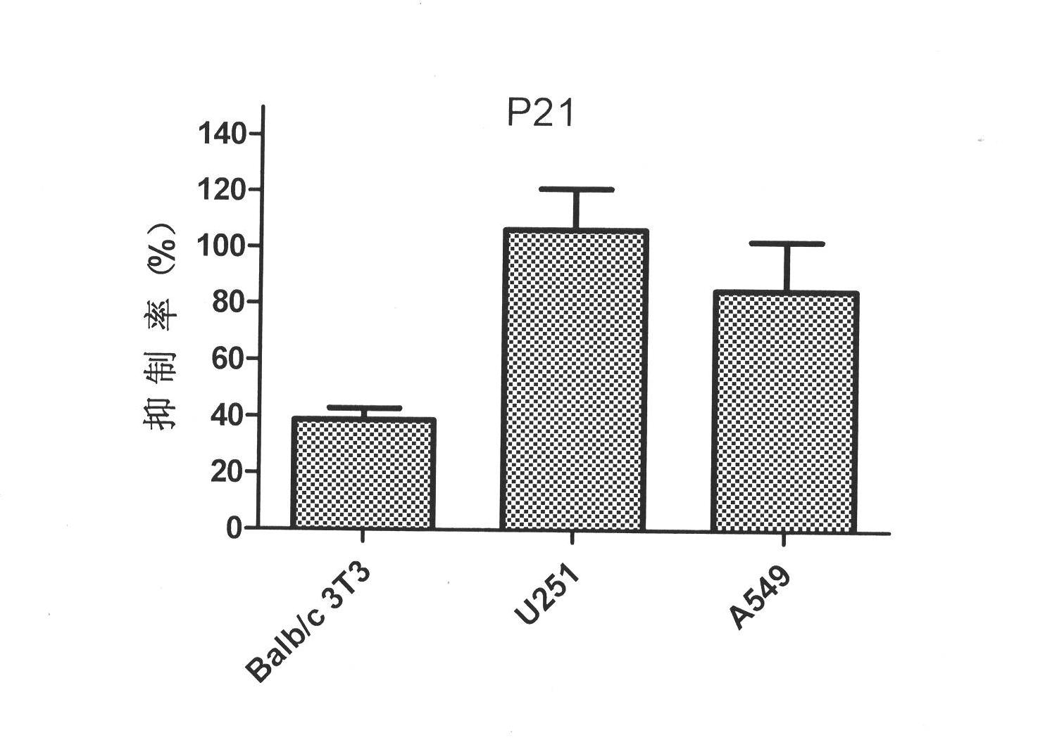 Oligopeptide derivative capable of combination of basic fibroblast growth factor, and application thereof