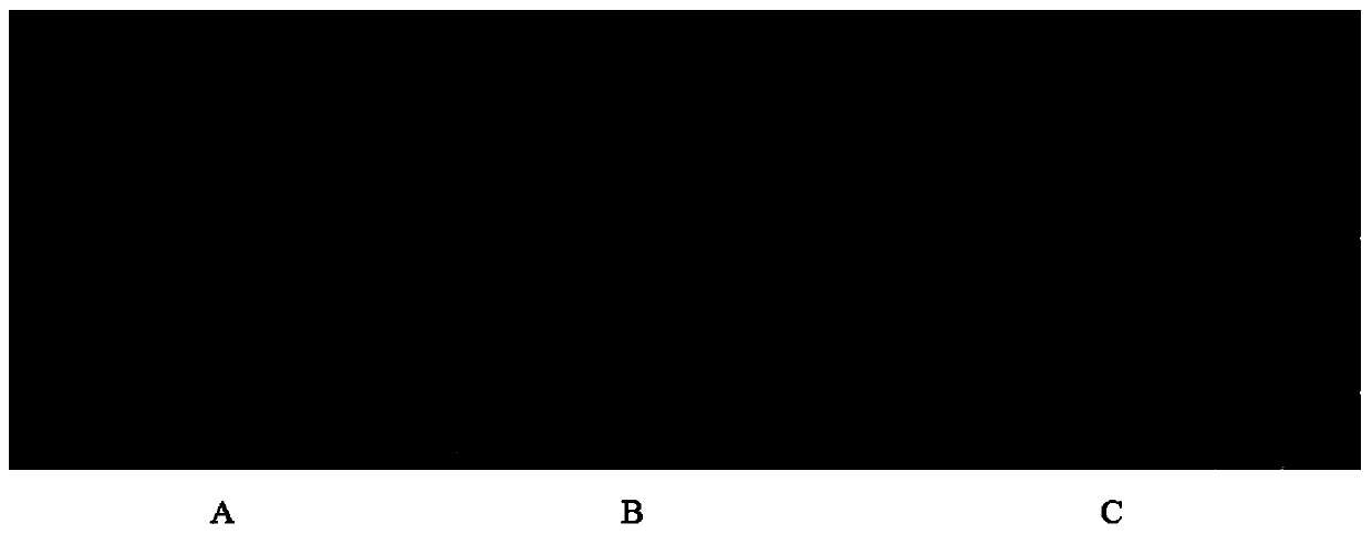 Intraocular lens with divisionally modified rear surface and preparation method of intraocular lens