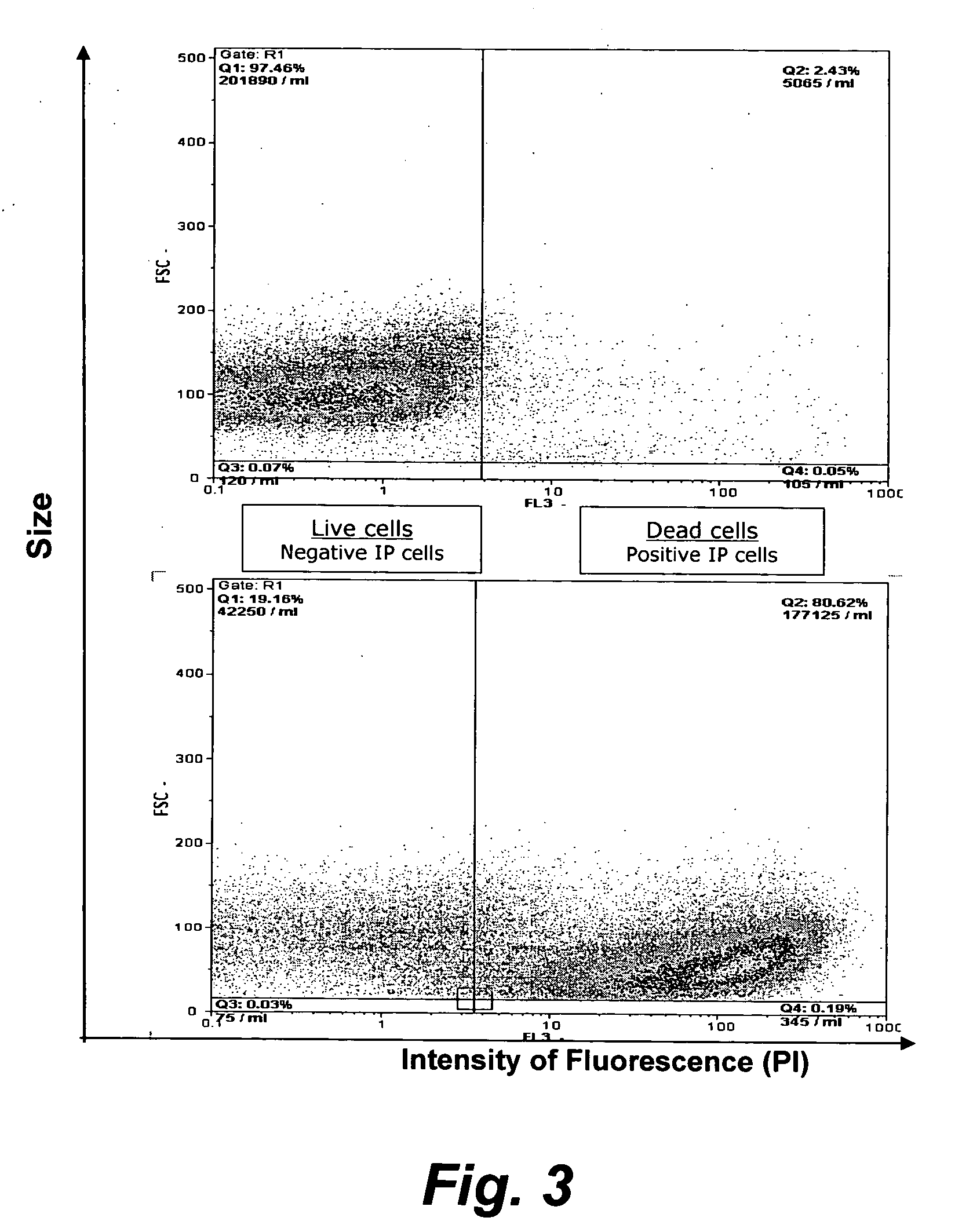 Assay for porcine circovirus production