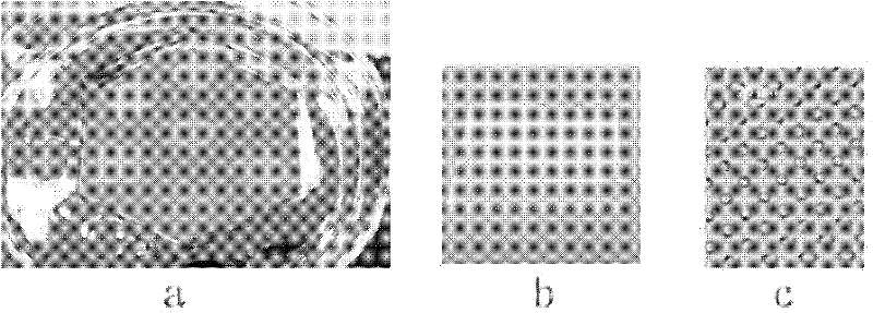 Cell microporous chip for detecting specific antibody secretion of single cell and preparation method thereof
