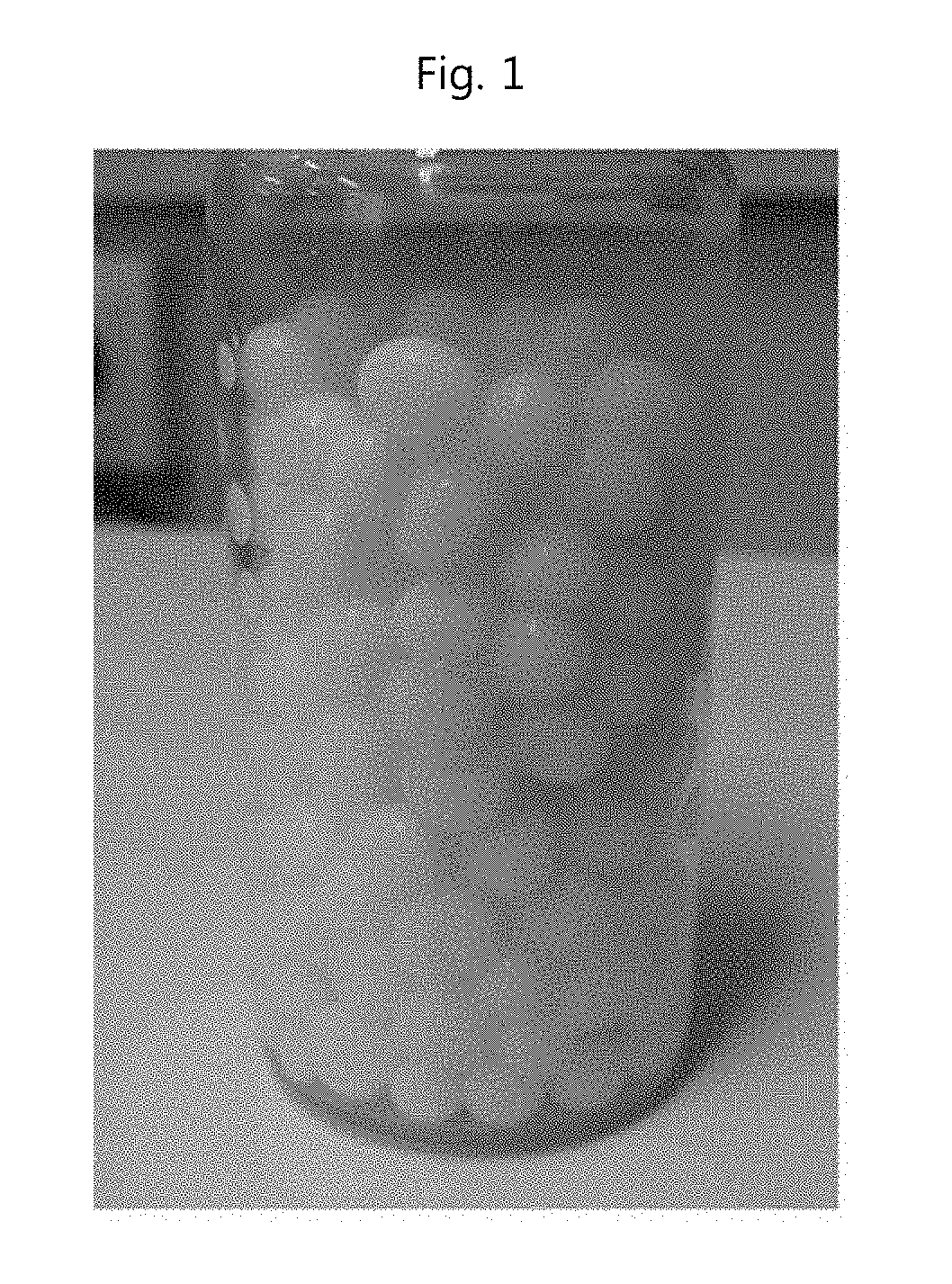 Method for preparing round emulsion beads using low temperature cooling and the product thereof