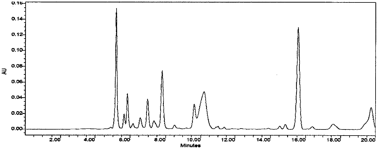 Onion fermentation method by virtue of added tetragenococcus halophilus