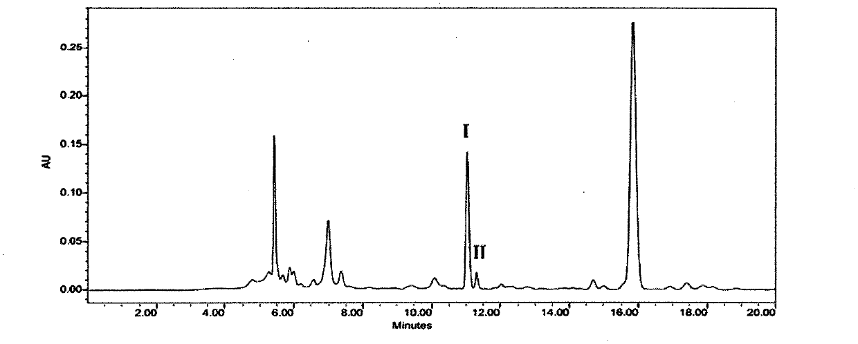 Onion fermentation method by virtue of added tetragenococcus halophilus