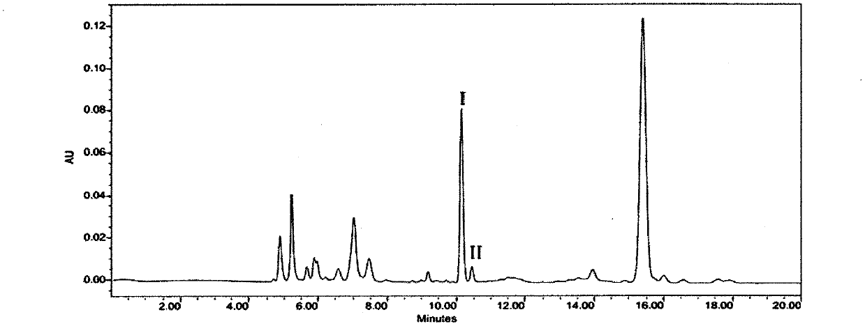 Onion fermentation method by virtue of added tetragenococcus halophilus