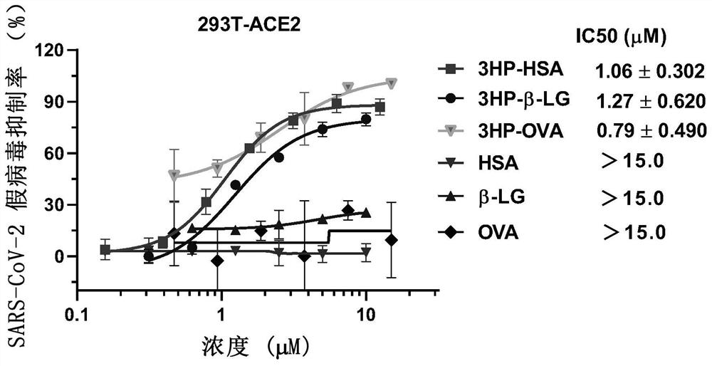 Method for inhibiting coronavirus by anhydride-modified protein