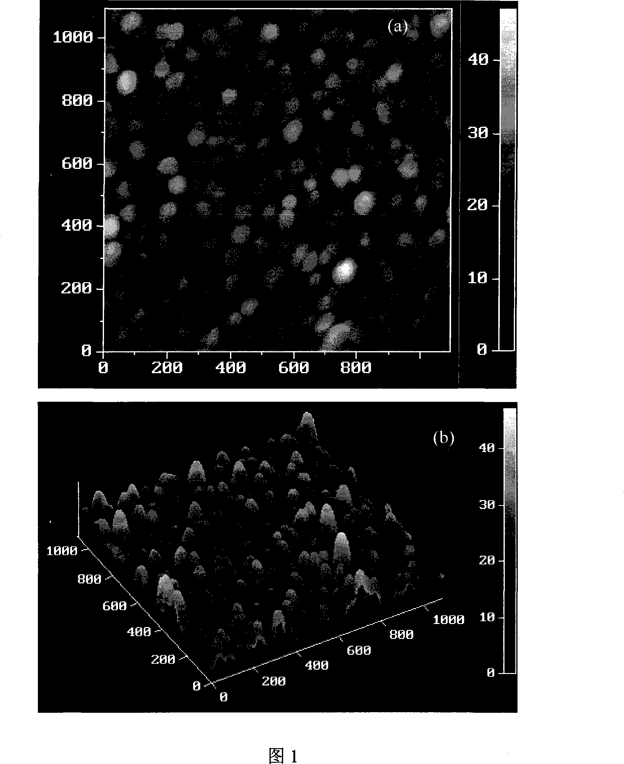 Process for producing codope titanium dioxide thin film of nitrogen and bismuth