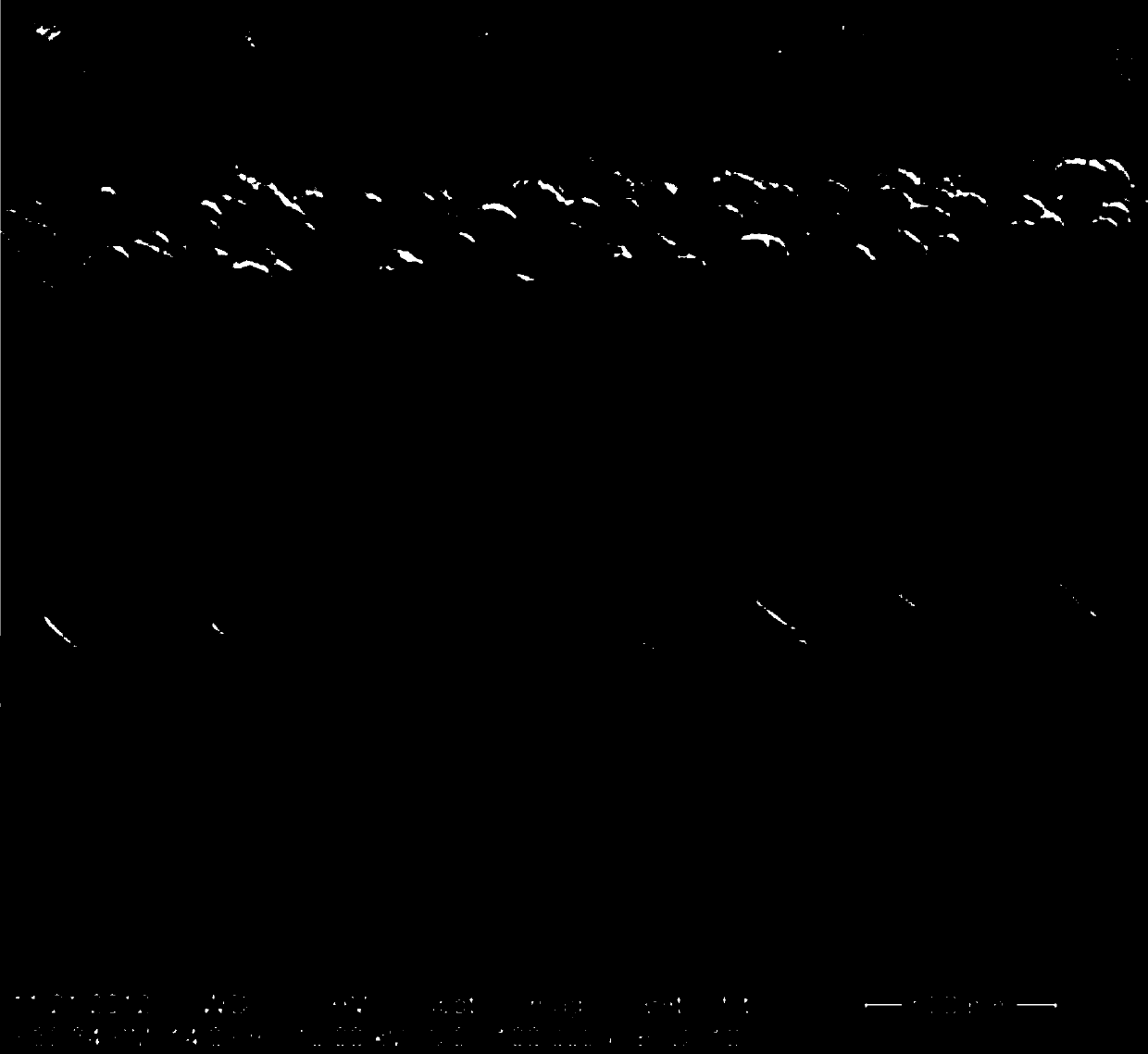 A bidirectional absorber structure for visible light