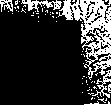 A bidirectional absorber structure for visible light