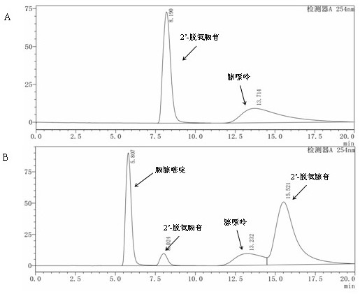 A kind of method utilizing enzyme catalysis to prepare 2'-deoxyadenosine pure product