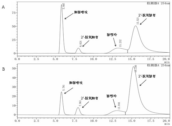 A kind of method utilizing enzyme catalysis to prepare 2'-deoxyadenosine pure product