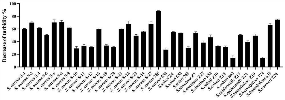 Chimeric enzyme ClyQ for degrading staphylococcus biofilm as well as preparation method and application of chimeric enzyme ClyQ