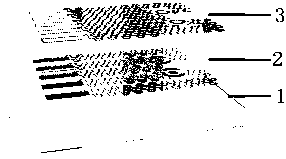 Sweat monitoring and sensing system, patch and preparation method of patch