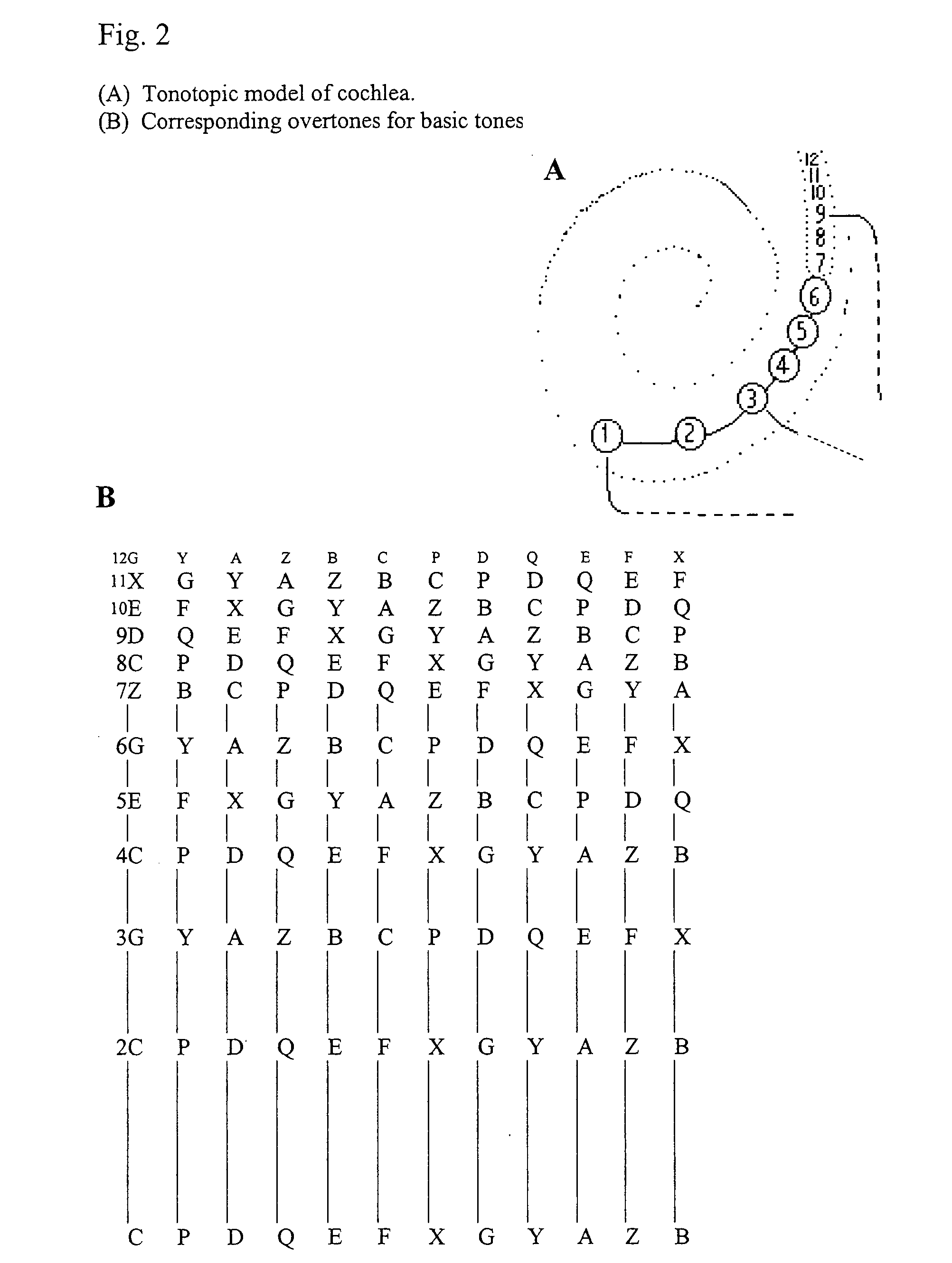 Fractal harmonic overtone mapping of speech and musical sounds