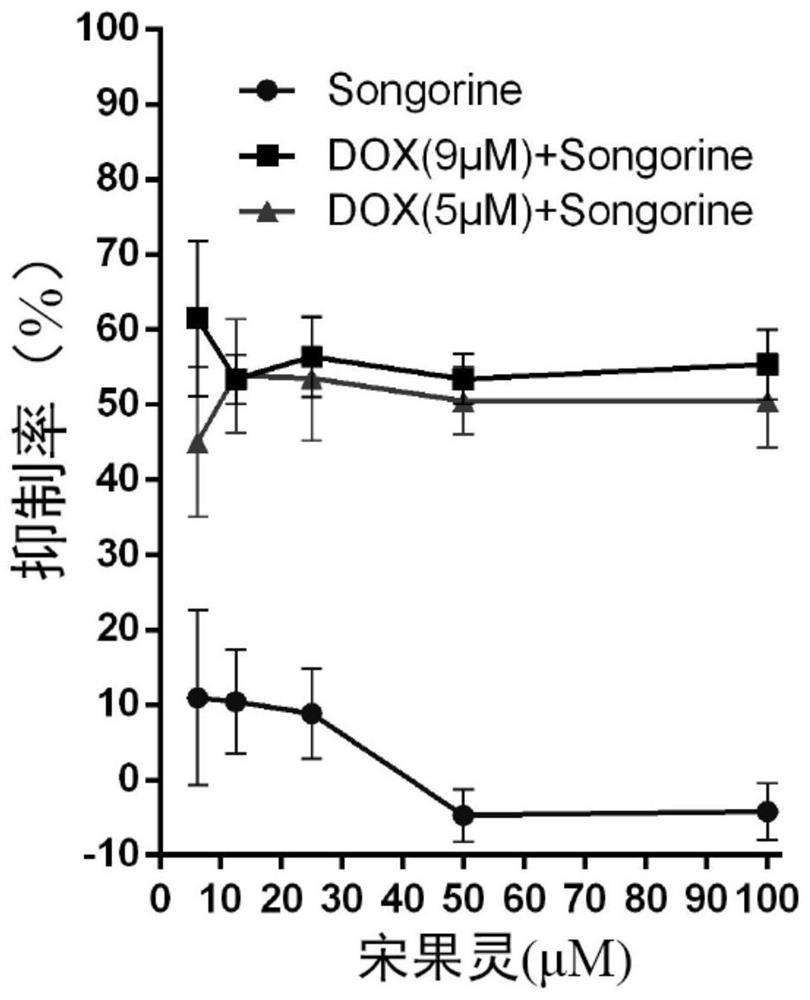 Application of songorine in medicine for resisting doxorubicin cardiotoxicity