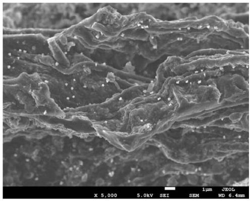 Method for preparing photocatalytic biochar composite material by using eichhornia crassipes to accumulate nano-zinc oxide
