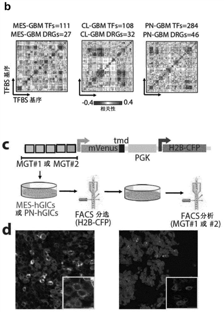 A method for engineering synthetic cis-regulatory DNA