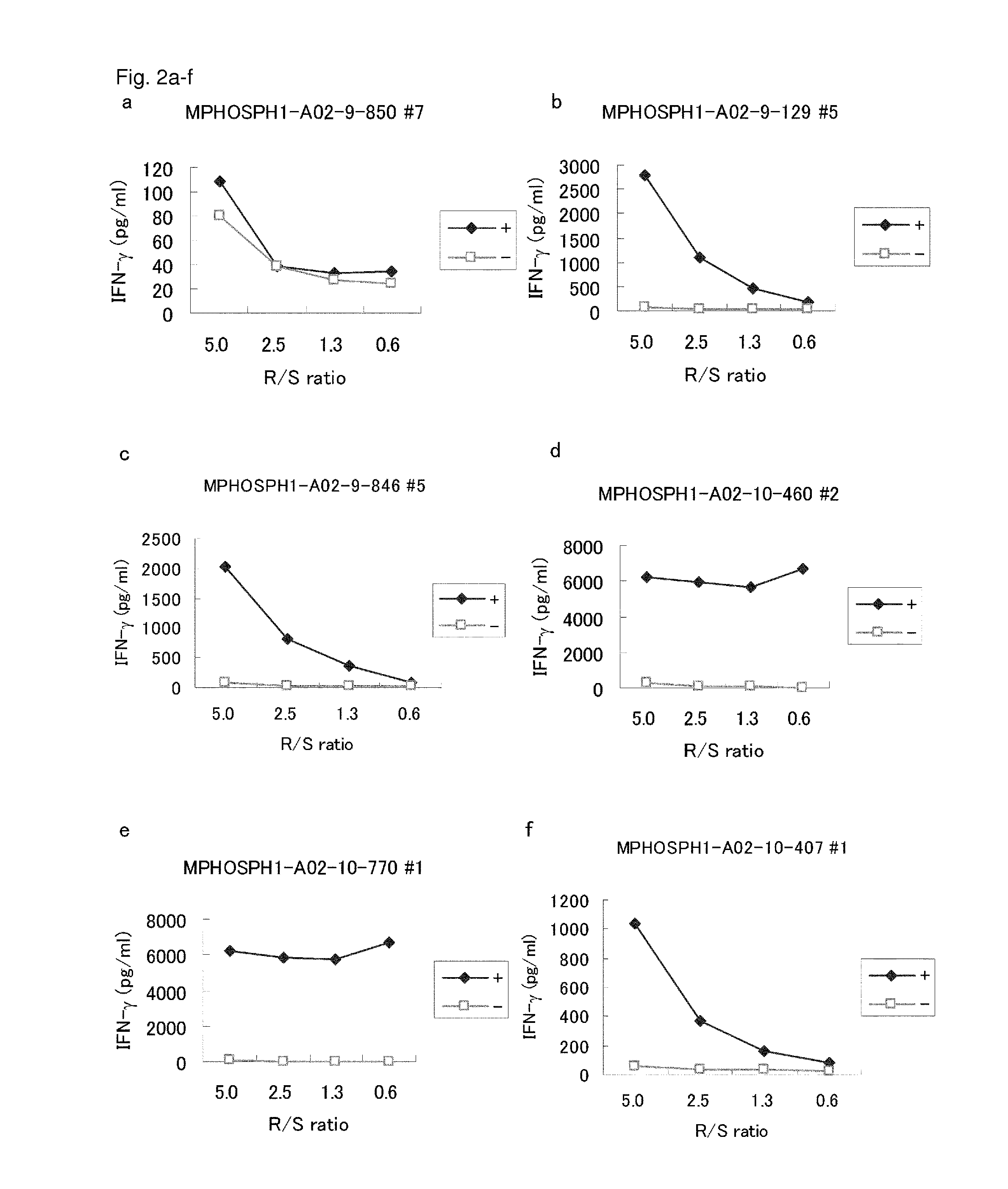 MPHOSPH1 peptides and vaccines including the same