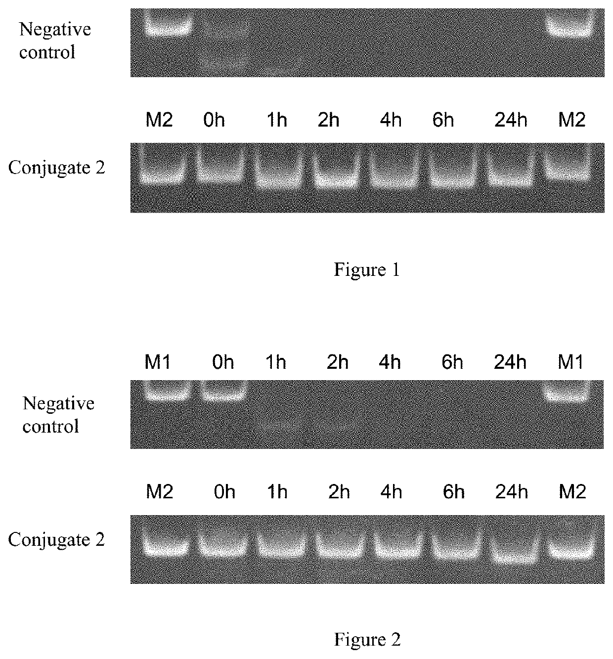 Nucleic acid, pharmaceutical composition and conjugate containing nucleic acid, and use thereof
