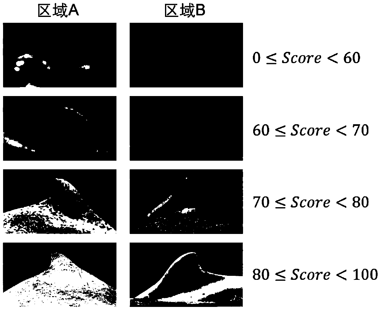 Chinese white dolphin dorsal fin identification method based on convolutional neural network