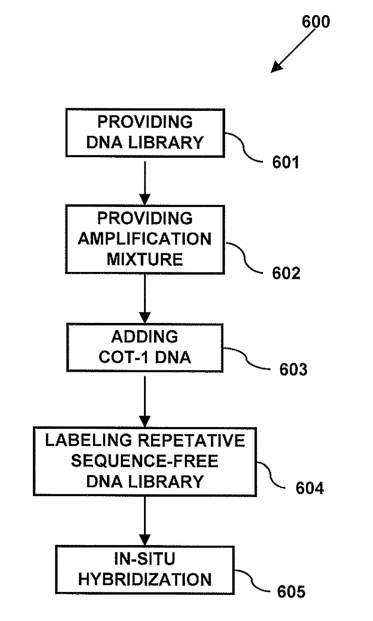 Repetitive Sequence-Free DNA Libraries