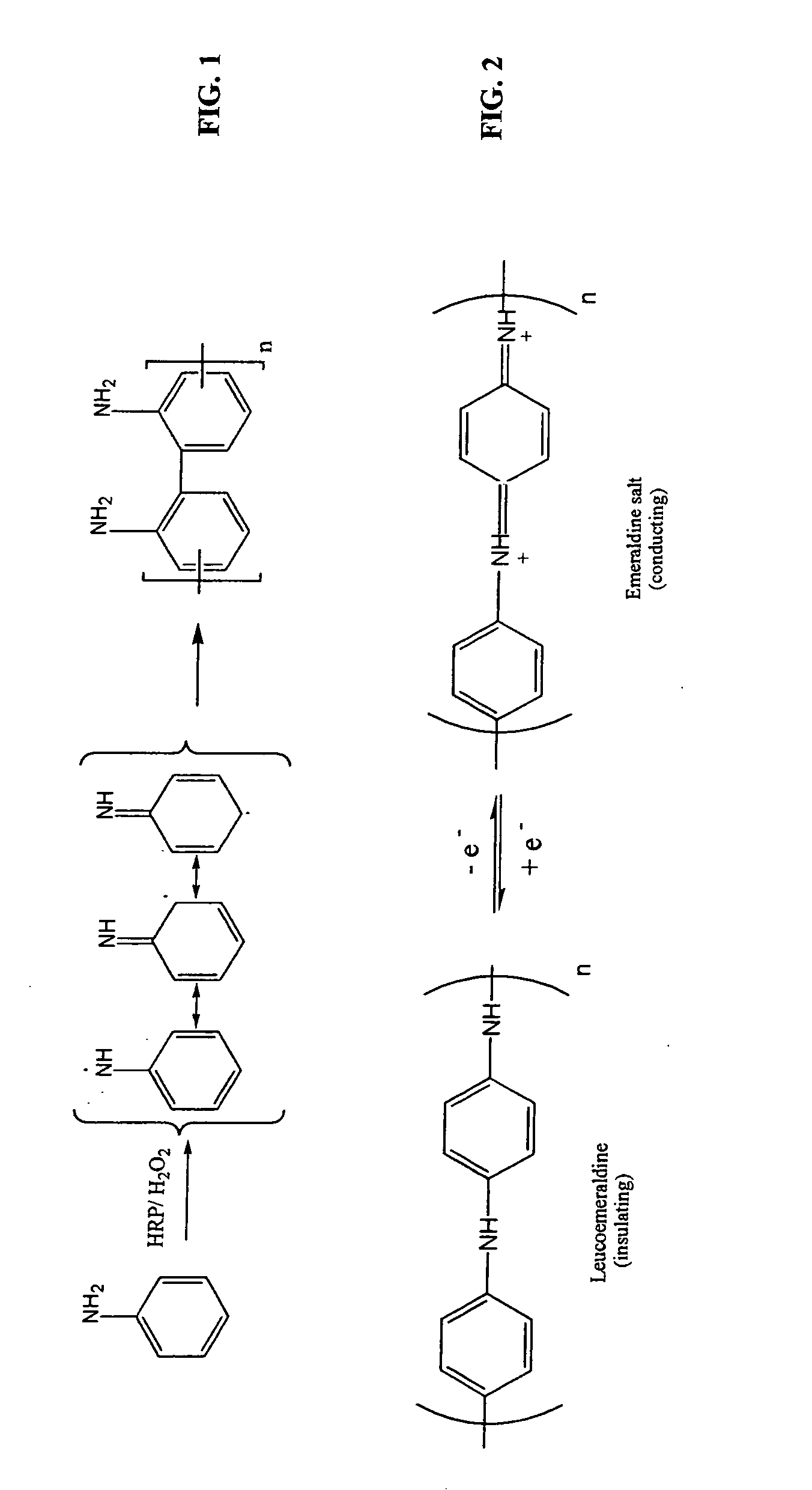 Enzymatic template polymerization