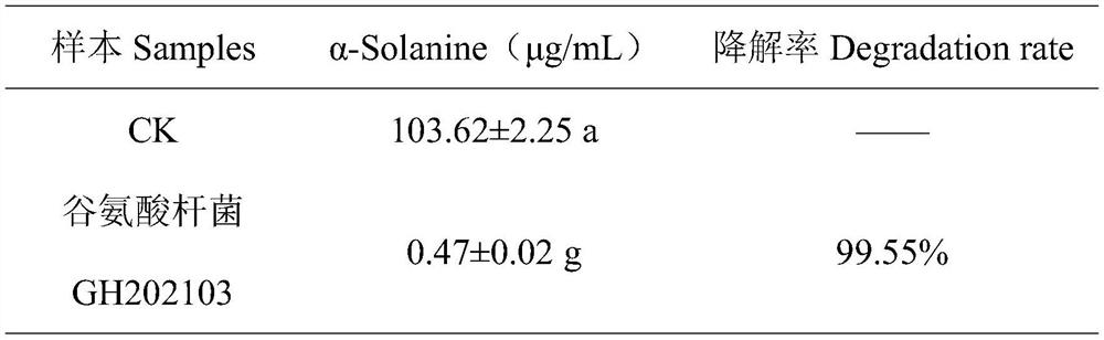Glutamic acid bacillus GH202103 strain for degrading alpha-solanine as well as preparation method and application of glutamic acid bacillus GH202103 strain
