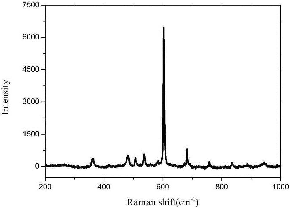 Method for preparing surface-enhanced Raman scattering (SERS) substrate