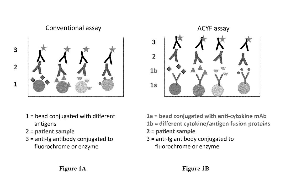 Enhancing serological assays via fusion proteins