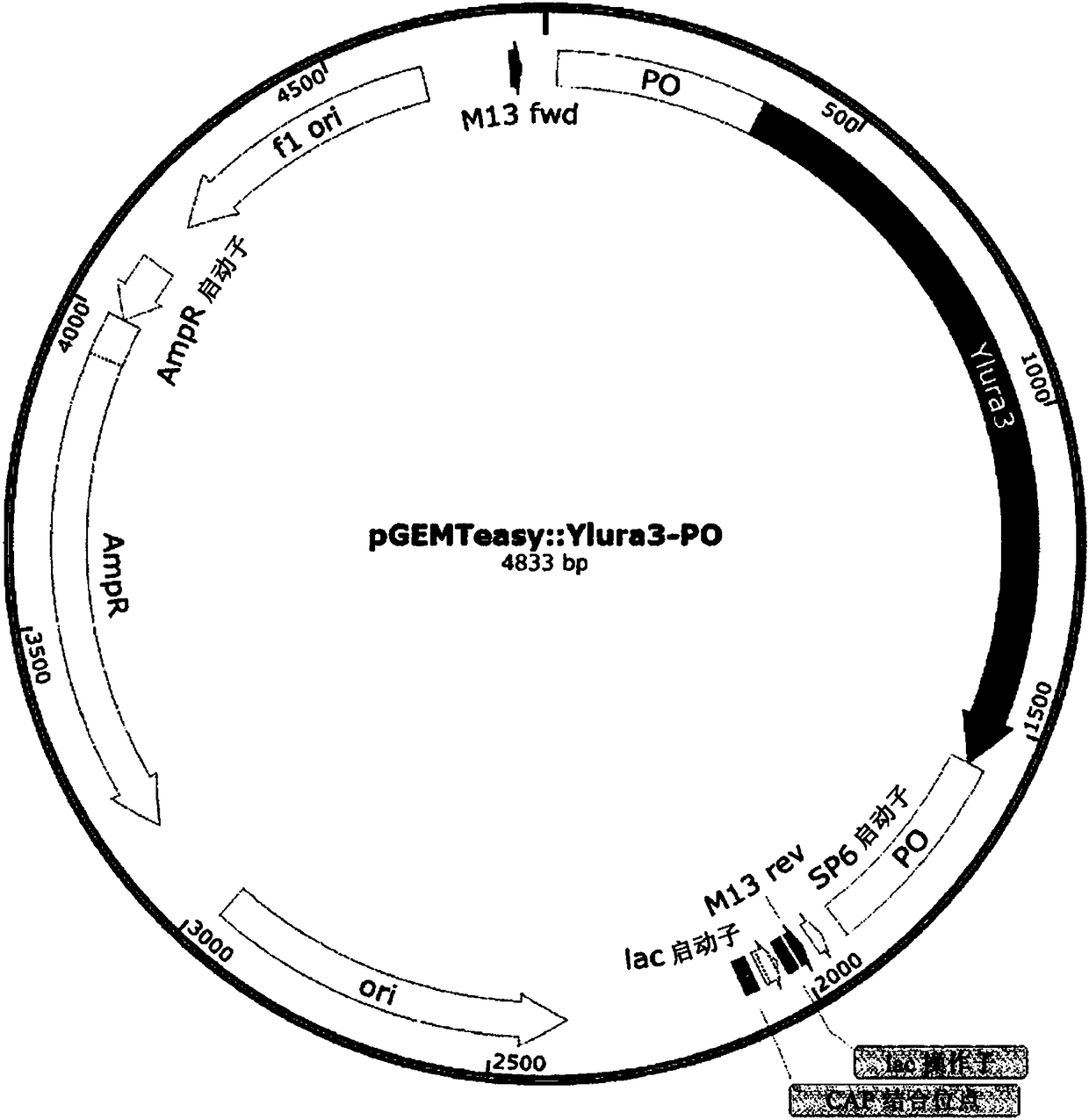 Method for producing heavy chain aminocarboxylic acid