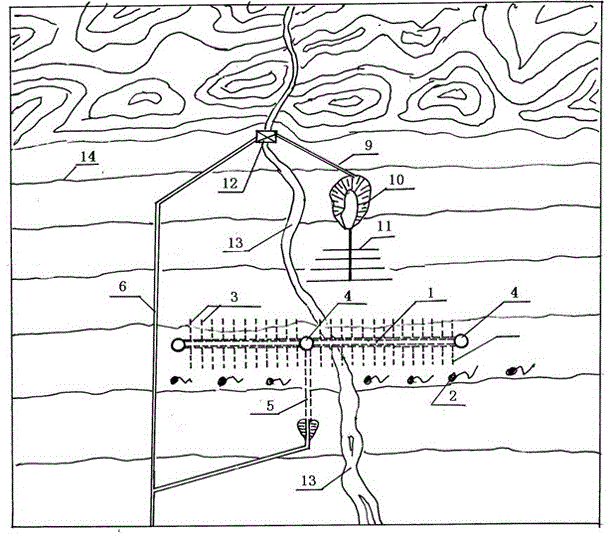 Qanat type underground reservoir water collection gallery in arid region