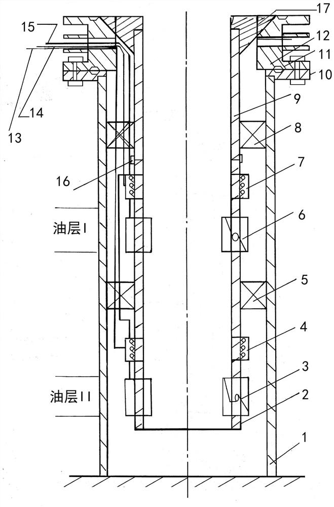 Layered oil production device with double electric submersible pumps sharing power line