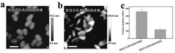 A flexible mesoporous organosilicon nanorod and its preparation method and application