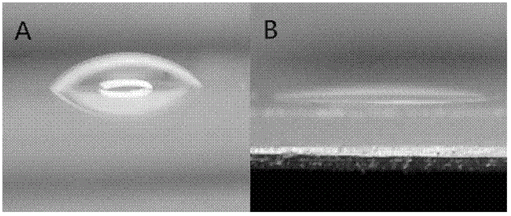 Method and device for constructing three-dimensional microenvironment