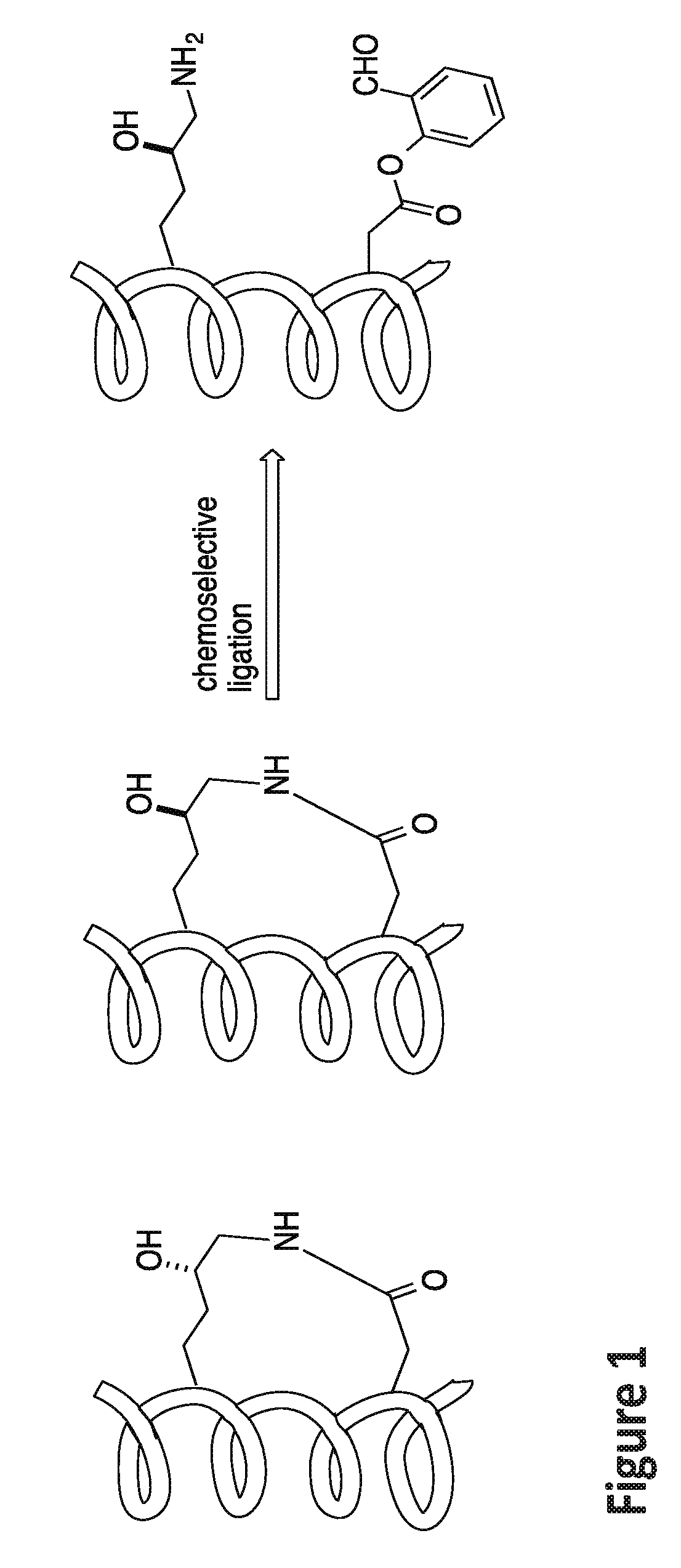 Stapled helical peptides and methods of synthesis