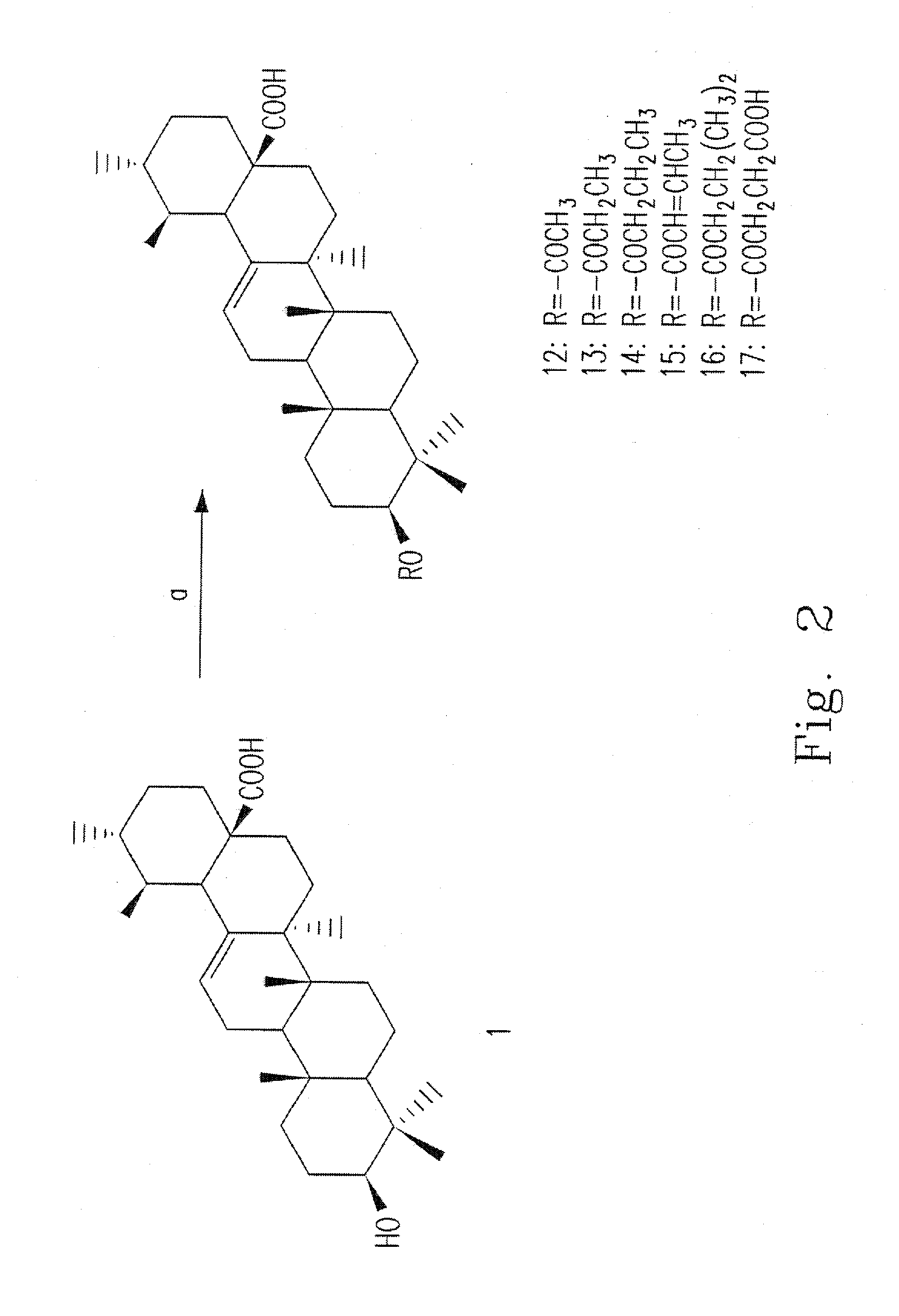 Ursolic acid derivative and pharmaceutical composition thereof