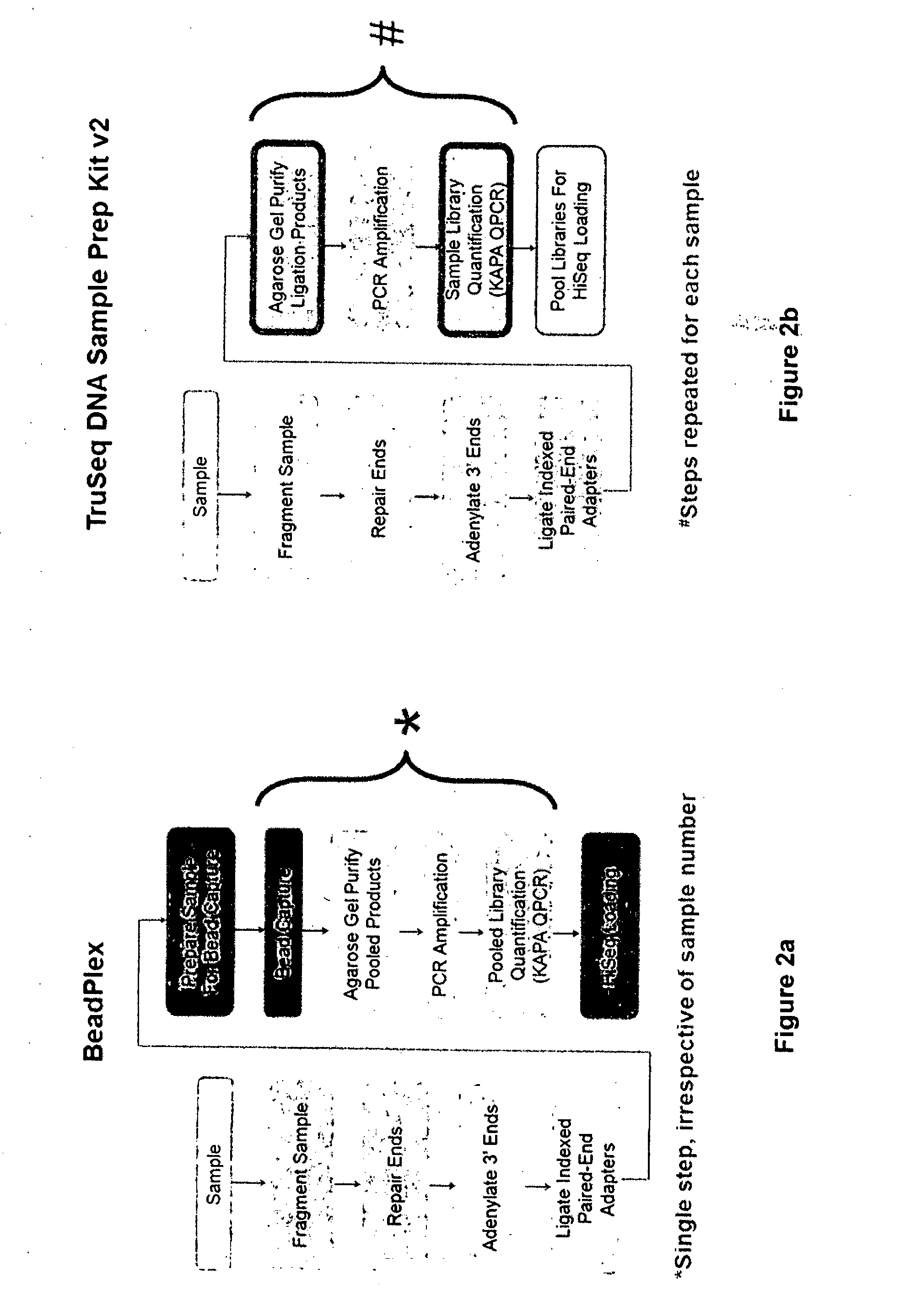 Method of Producing a Normalised Nucleic Acid Library Using Solid State Capture Material