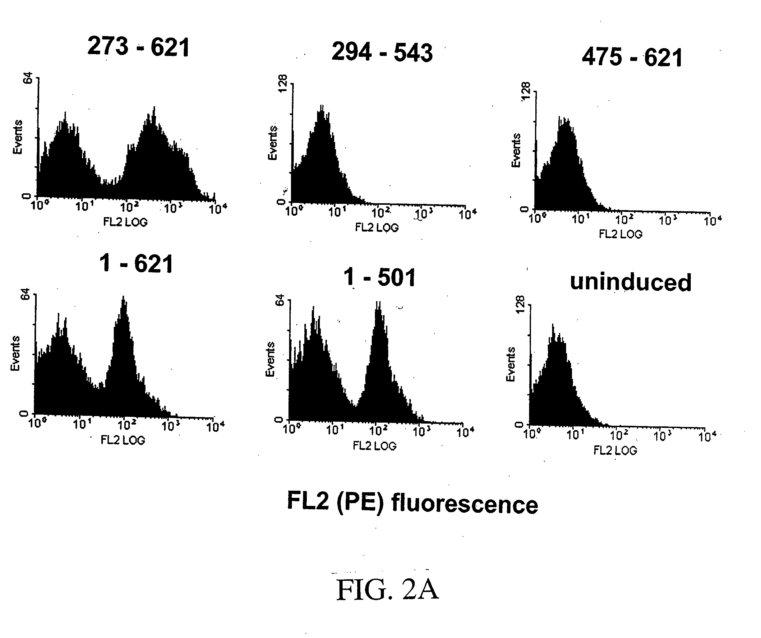 EGF receptor epitope peptides and uses thereof