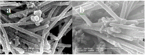 Preparation method for synthesizing super-long wurtzite structure Cu2ZnSnS4 nanorod in one step through solvothermal method