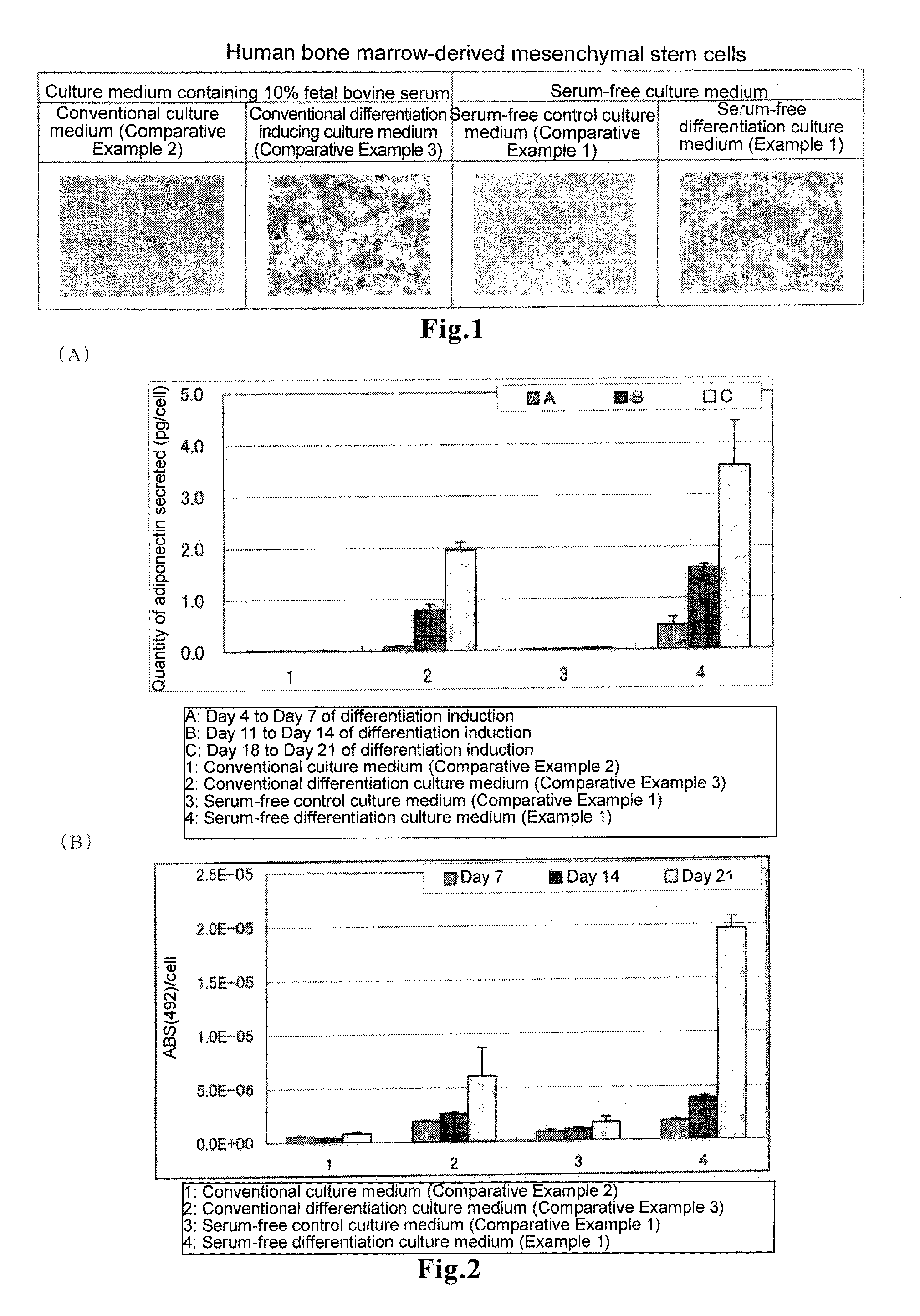 Culture medium and method for inducing differentiation into adipocytes