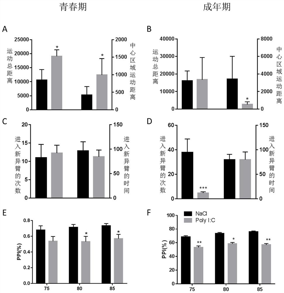 HDAC5 as a peripheral marker in a rat model of progeny infected during pregnancy