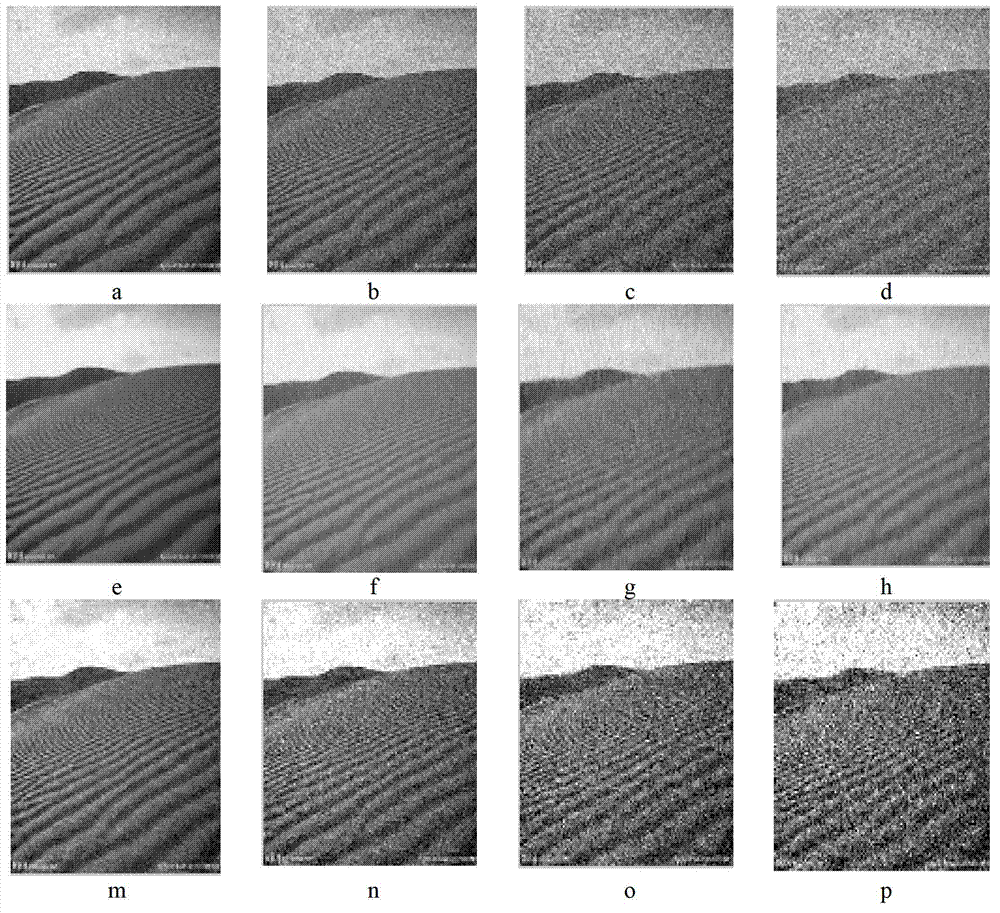 Method for reconstructing image based on blind compressed sensing module